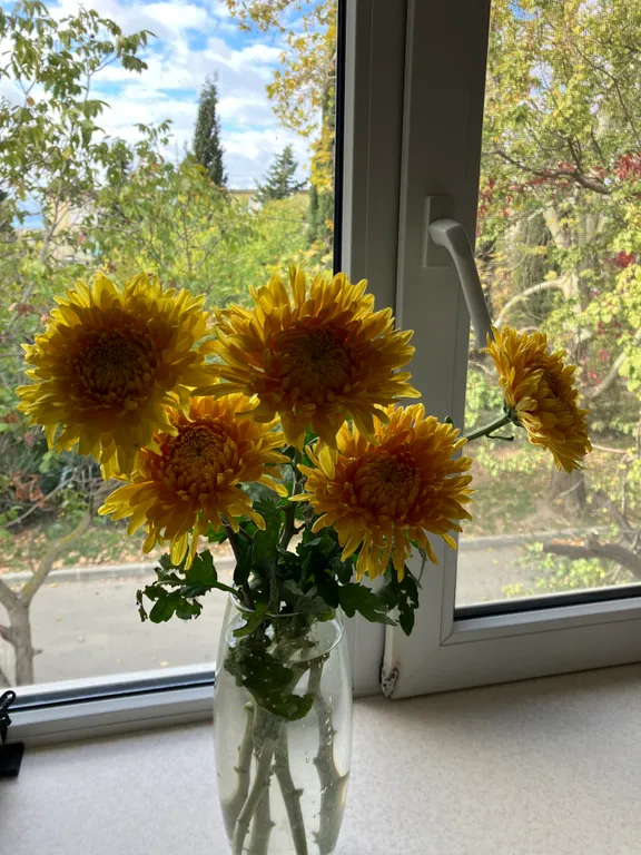 Квартира Квартира возле моря — Севастополь