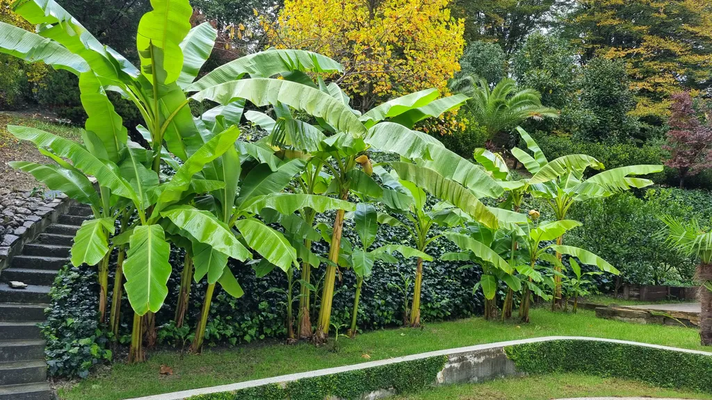 Трёхэтажный таунхаус в живописном месте с большим садом