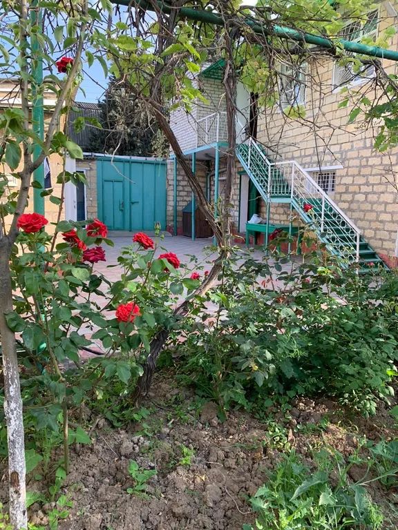 Дачный домик на берегу моря