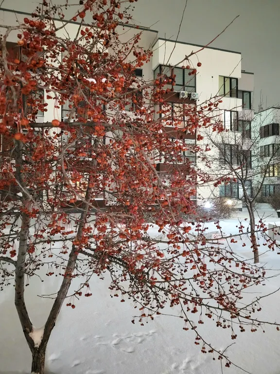 Квартира Квартира комфорт-класса в малоэтажном ЖК Ожогино — Тюмень