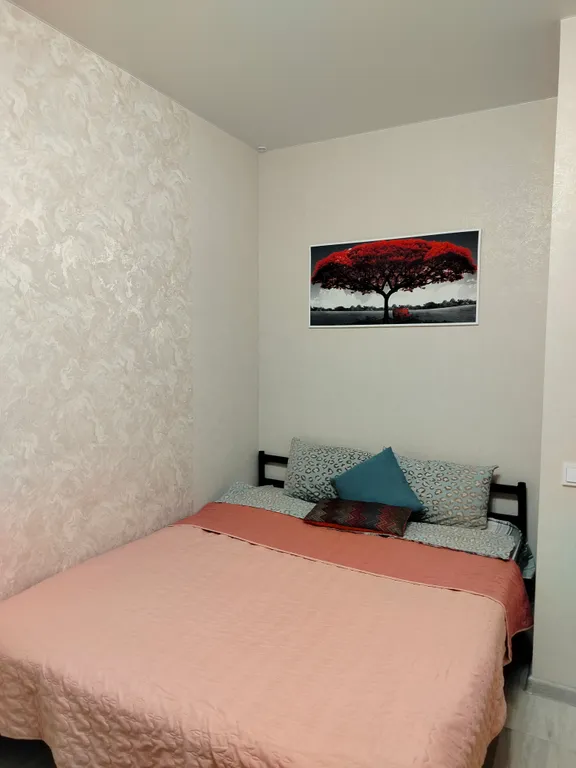 Просторная квартира 2+