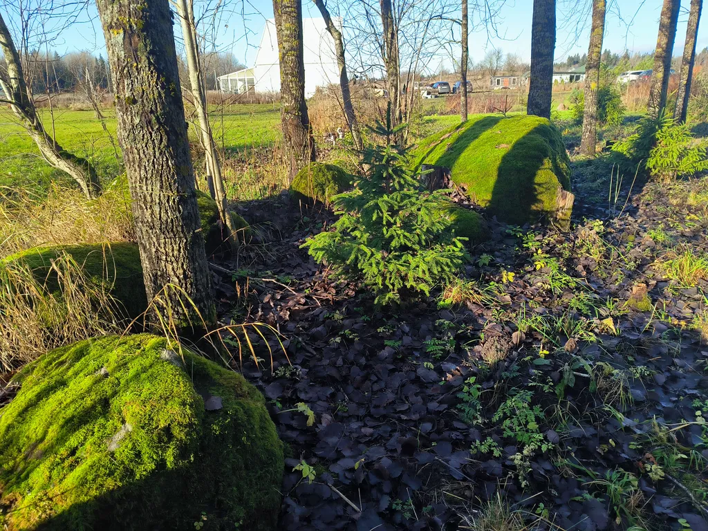 Купольный дом на домашней ферме