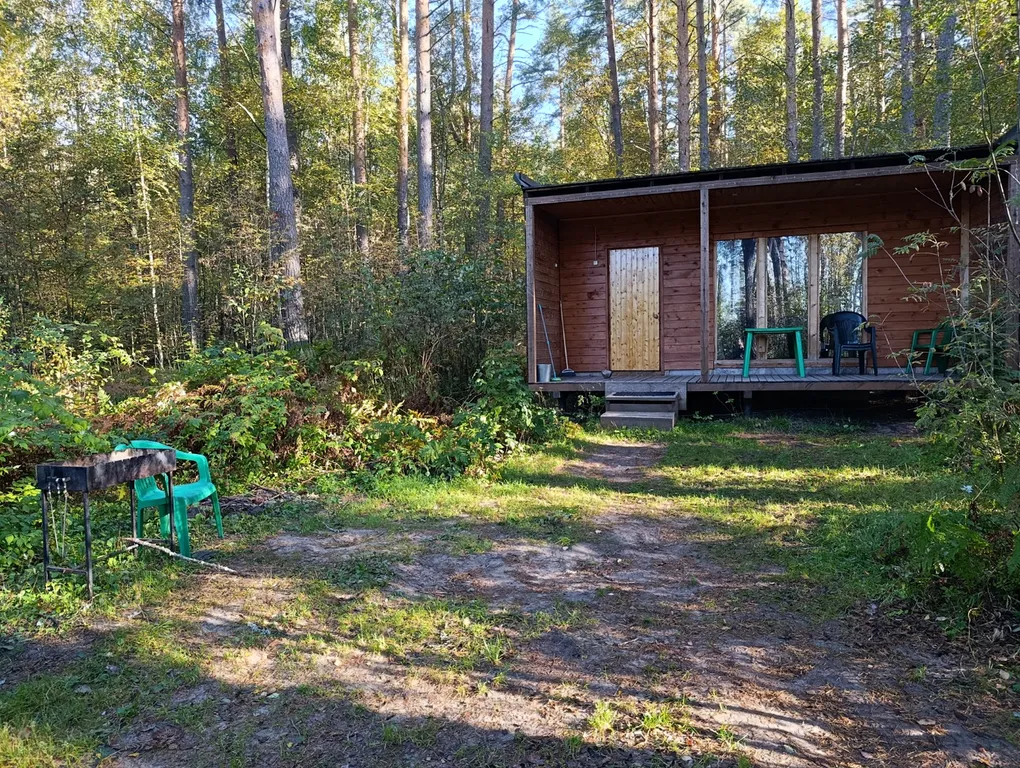 Маленький, уютный коттедж в сосновом лесу — аренда посуточно в при железнодорожной станции Лосево