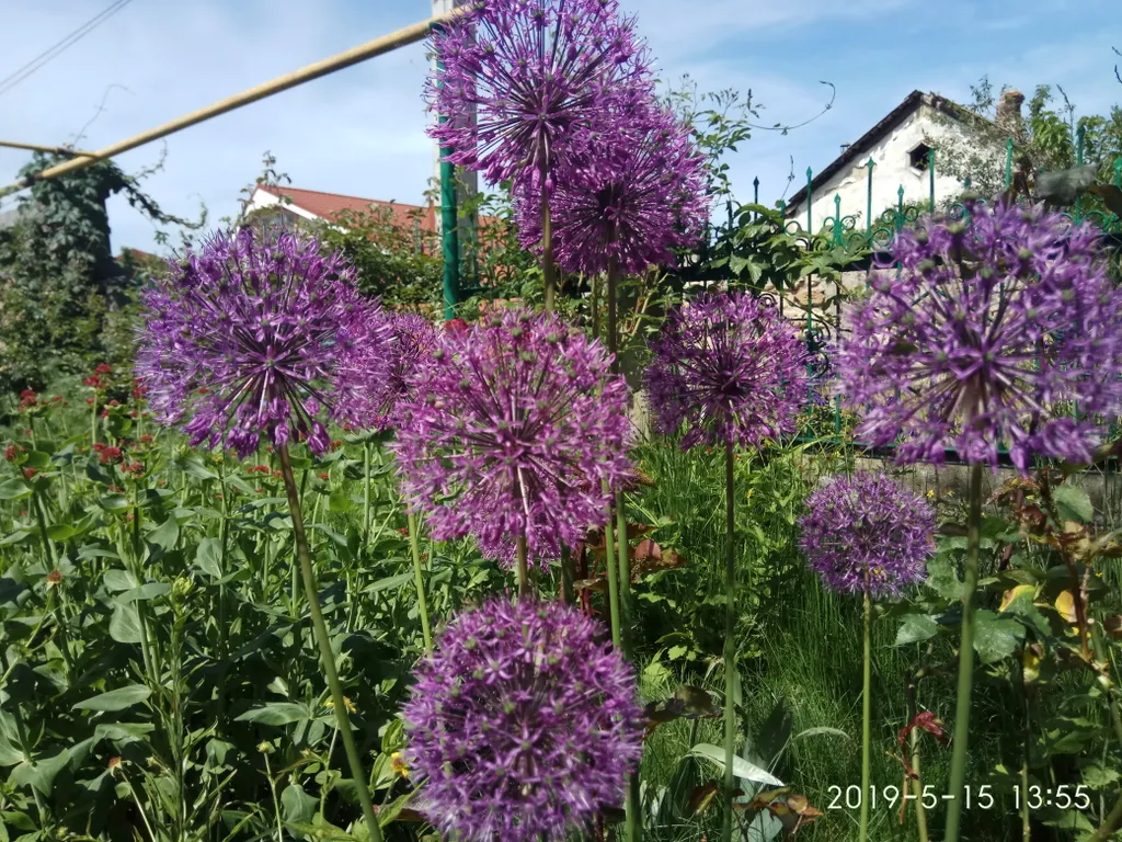 Комната с камином