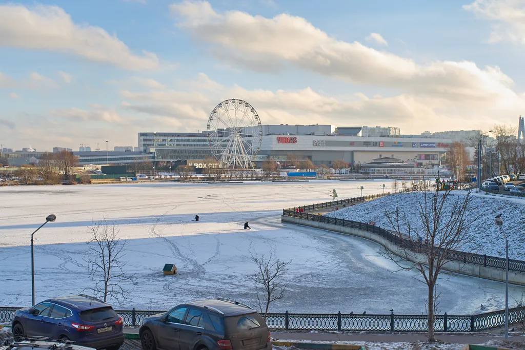 Вид на реку и крокус