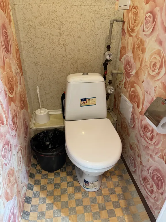 Незаурядная Нюша