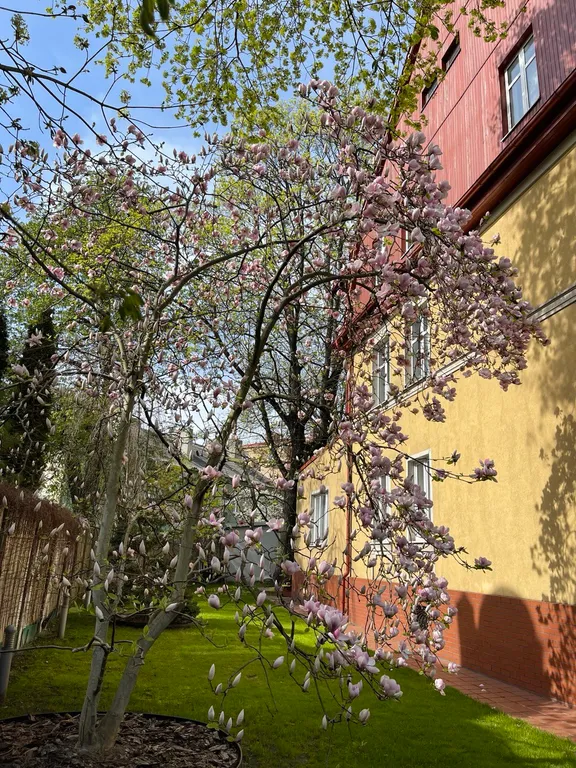 Квартира в доме начала ХХ века в старинном районе Амалиенау