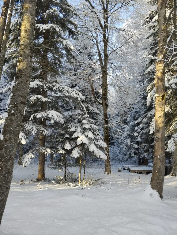 Уютный номер в Лаго-наки