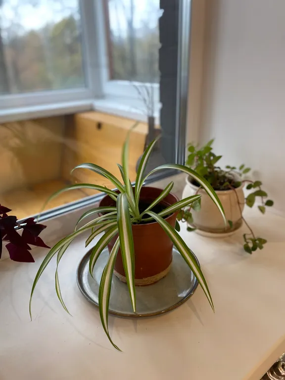 Квартира Солнечная квартира на набережной Волги — Ярославль