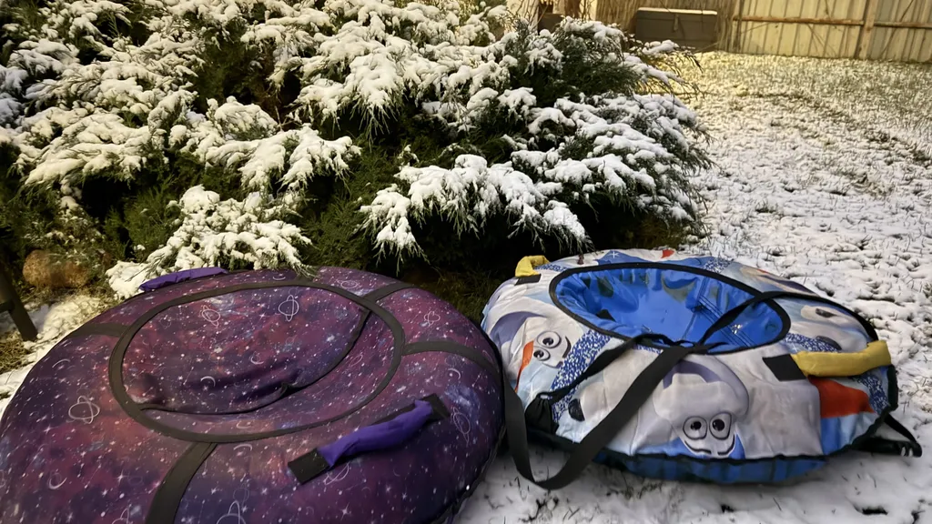 Эксклюзив - дом-сад у главной елки Ярославля, катка Советской площади