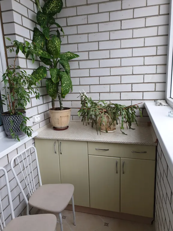 Квартира с видом на реку Волгу и мост