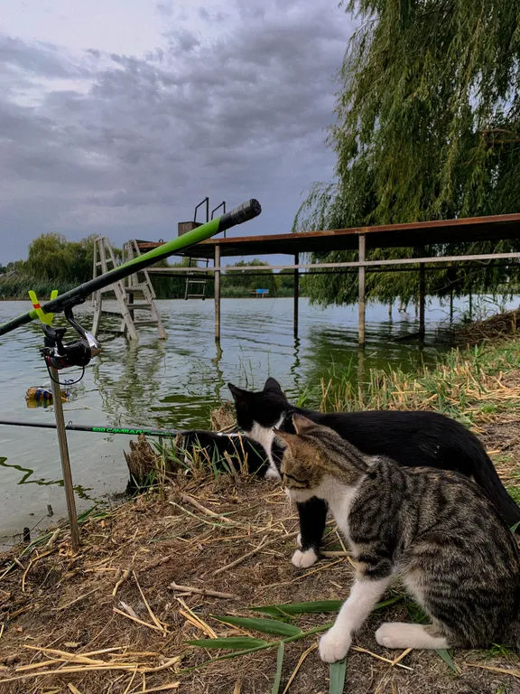 Новый дом-сруб у реки в живописном месте, баня, банный чан, рыбалка