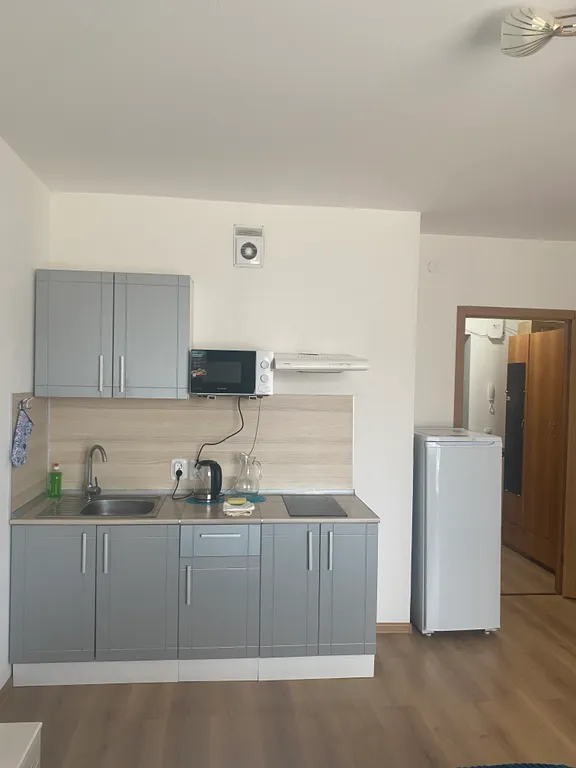 Квартира Квартира Студия в Песочном — Песочный