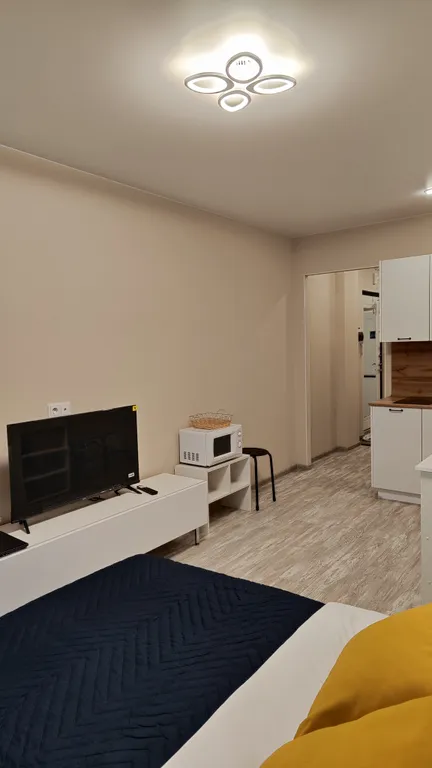 Уютная студия у метро Парнас