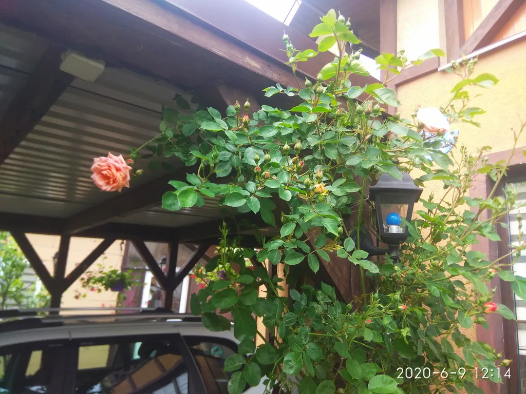 Дом на море с крытым бассейном и хаммамом