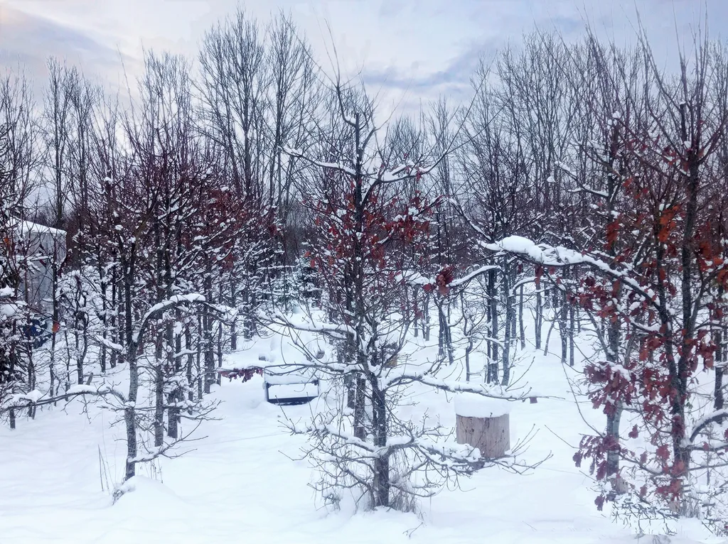 Таунхаус с детской комнатой