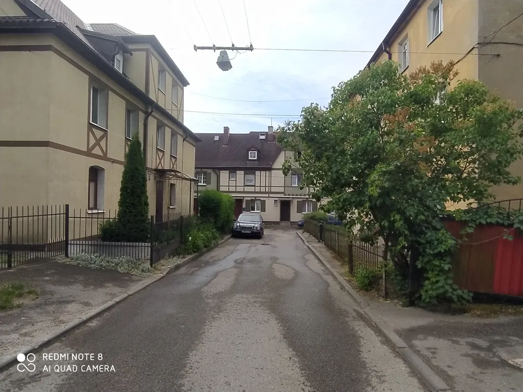 Прусский Кот  (в историческом районе Ratshof на границе с Amalienau)