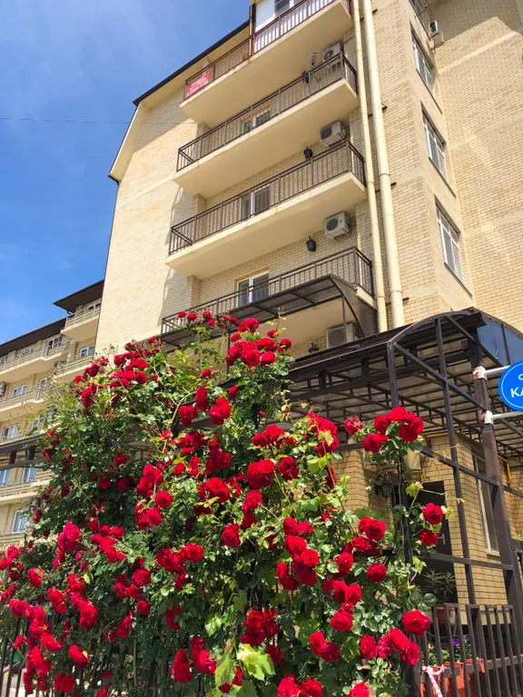 1-комнатная Квартира