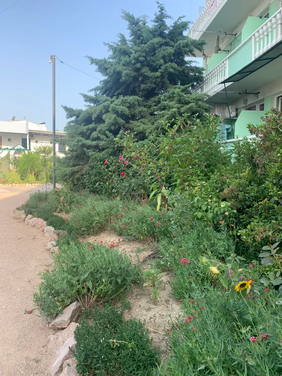 Квартира Квартира Уютный номер у моря для семьи — Любимовка