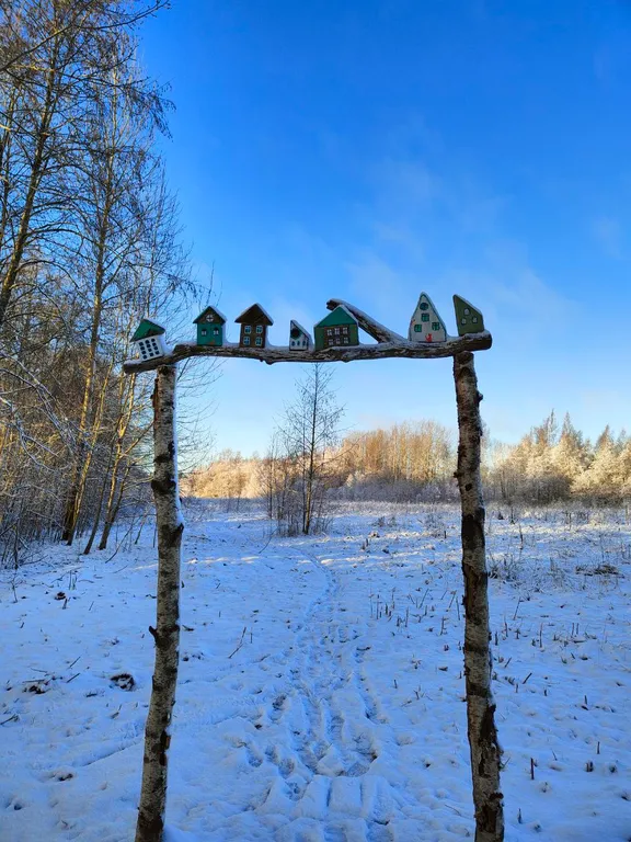 Коттедж Дом Леса — Краснознаменка