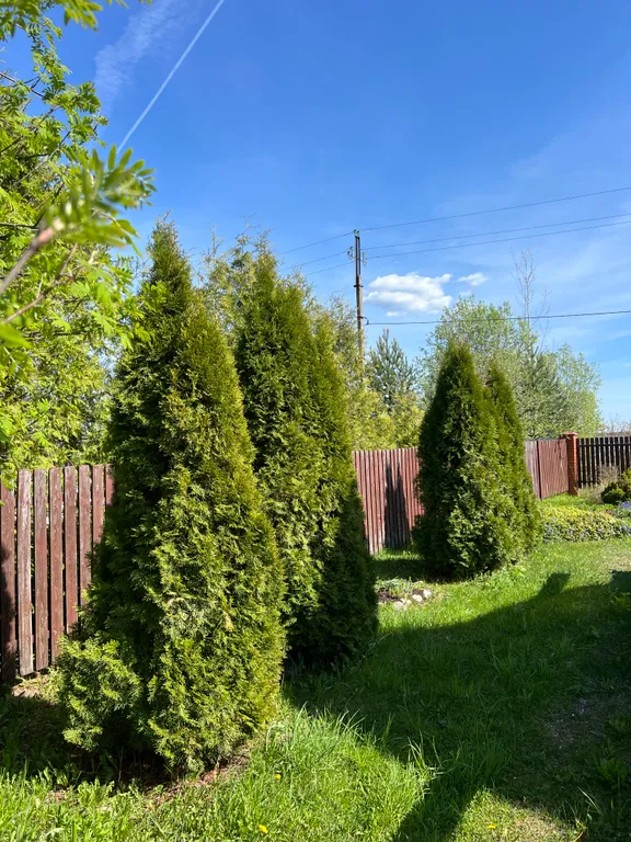 Русский дом с баней на берегу озера