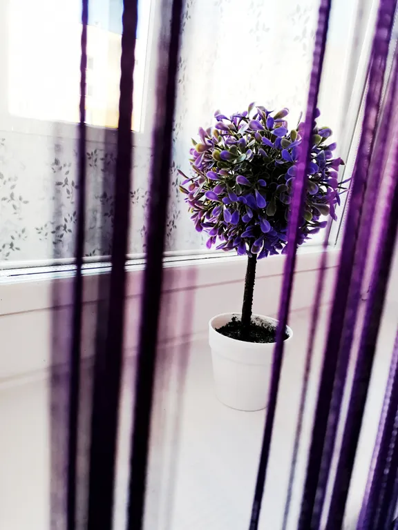 Чистая уютная и яркая квартира