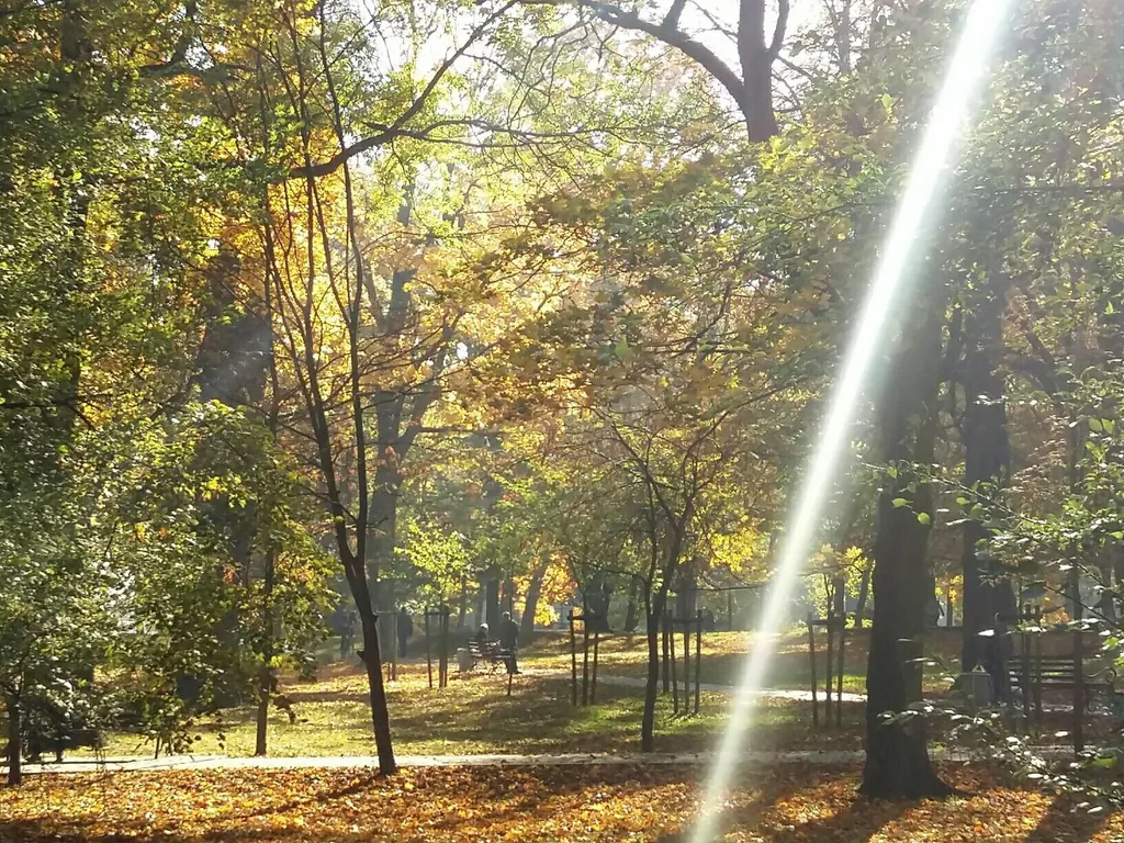 Квартира Квартира Сердце города — Калининград