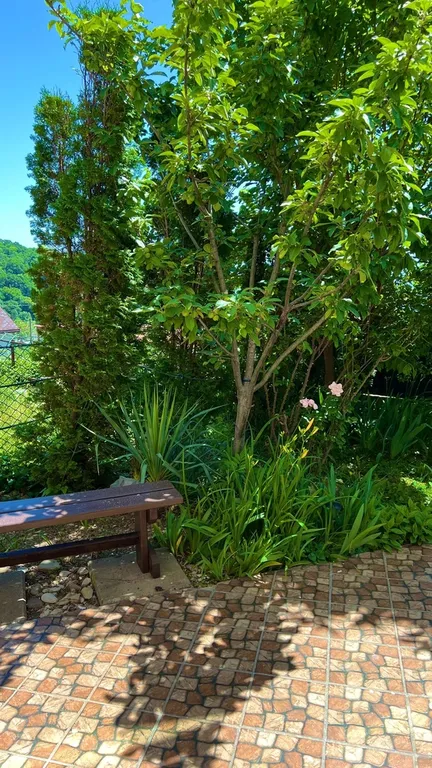 Люкс 1 этаж отдельный вход