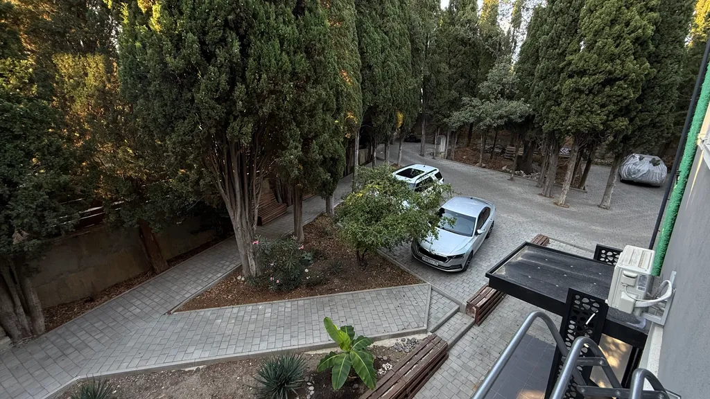 Квартира-студия с кипарисами за окном