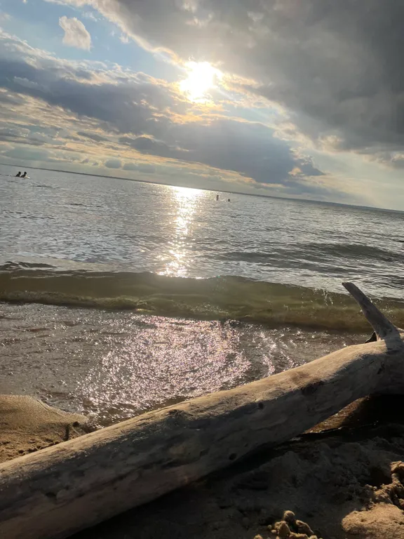 Уютное место на берегу Обского моря