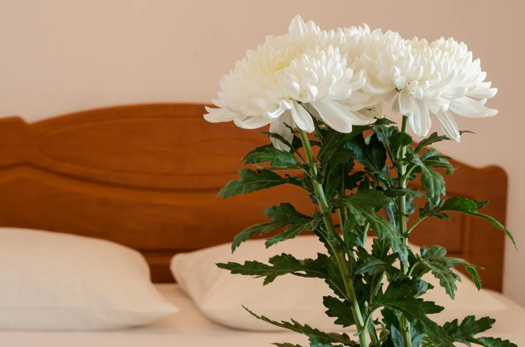 Квартира 2-комнатная Квартира — Севастополь