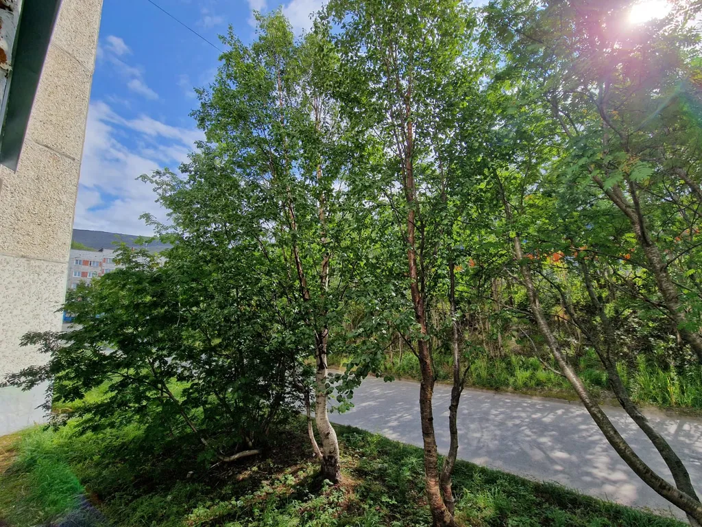 Апартаменты 5 минут до склона