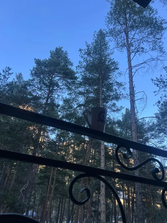 Уютная квартира в элитном ЖК Горная сказка