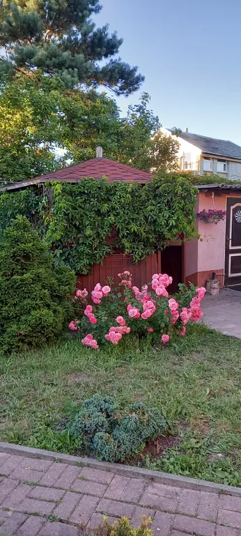 Коттедж Дом на берегу Балтийского моря — Сокольники