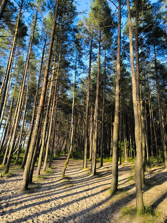 Отдых у моря