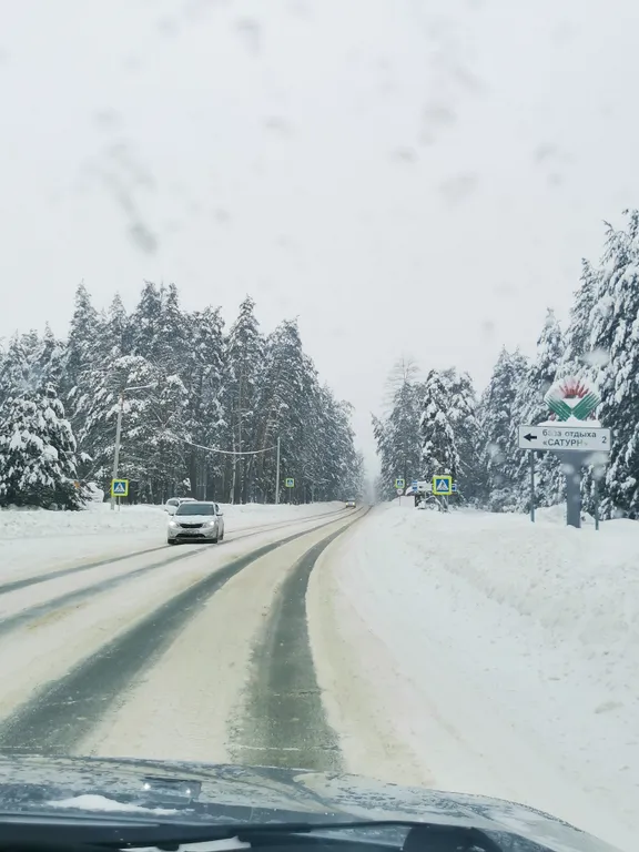 Уютная квартира в центре соснового леса