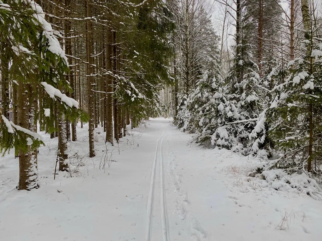 Эко-дом с панорамными окнами #1