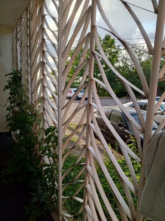 В гостях у Яны