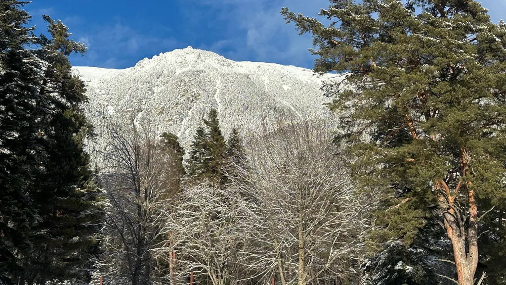 Коттедж Барнхаус с видом на горы и лес — Архыз