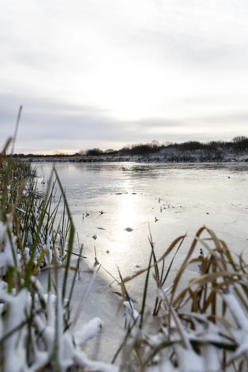 Новый дом с камином на берегу реки