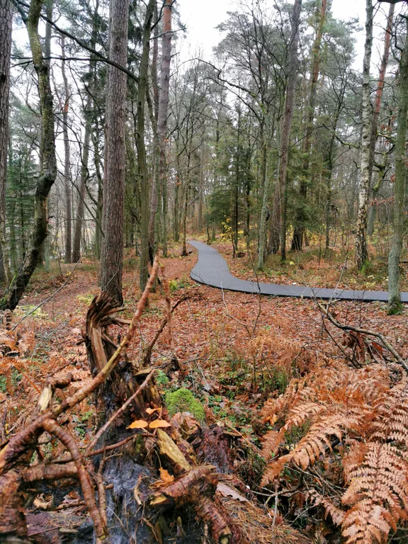 Уютная новая студия рядом с морем