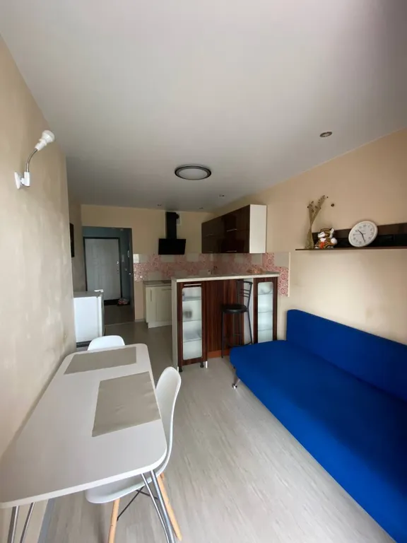 Апартамент с большим панорамным балконом