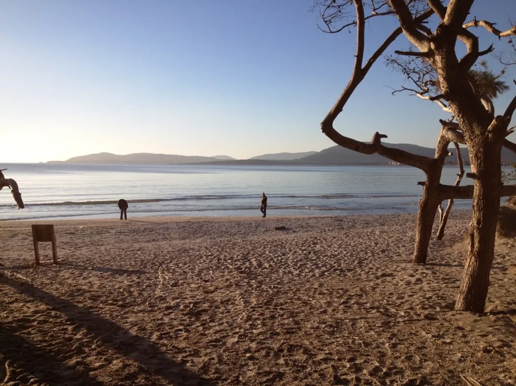 4-комнатная Квартира