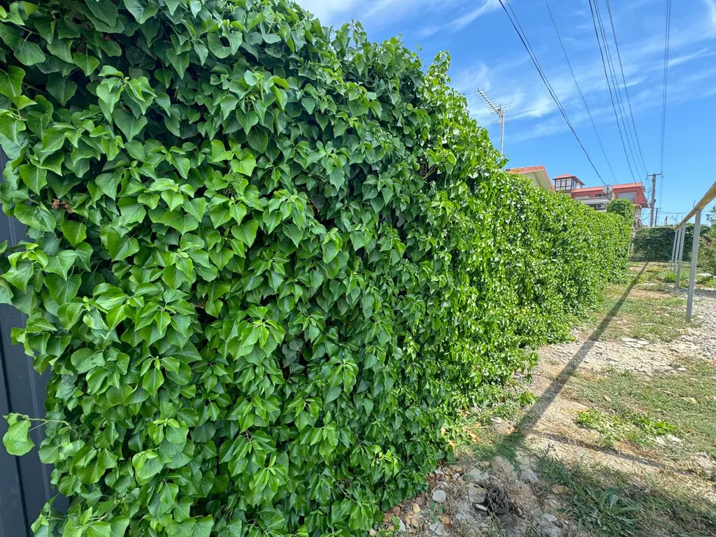 Семейный отдых на море в уютном доме