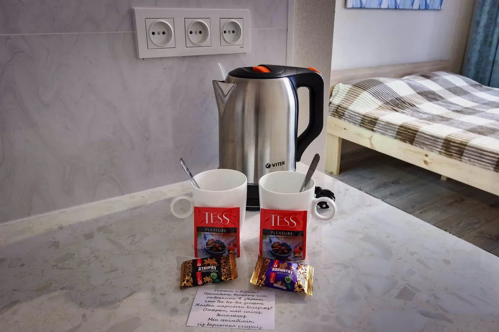 Студия с мини-кухней и собственным санузлом