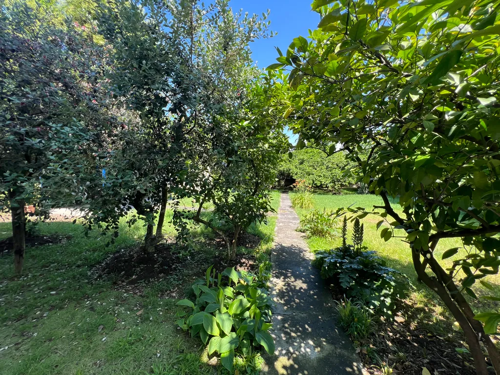 Квартира Комната — Сухум