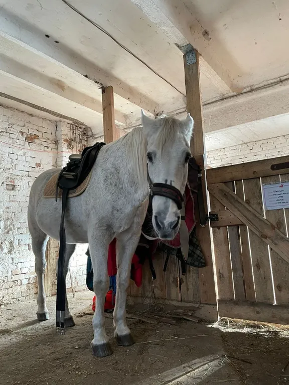 Коттедж Ванкувер в Коробицыно-Вилладж