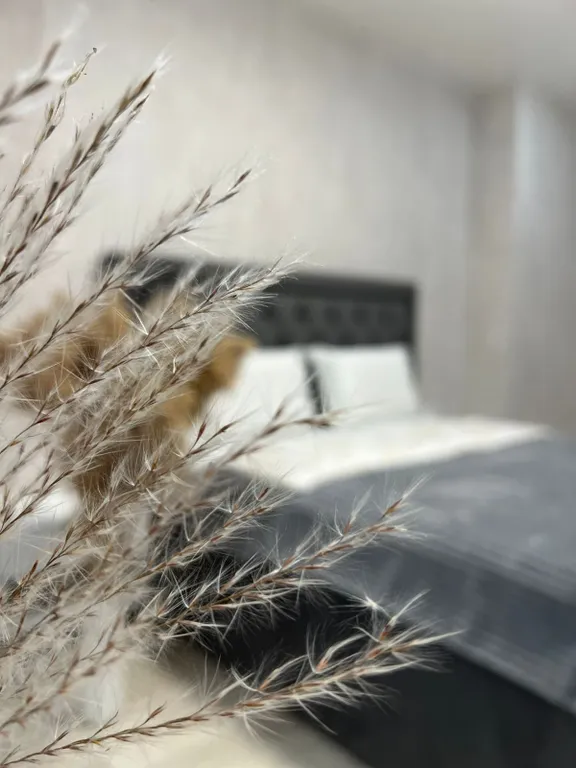 Уютная квартира в Солнечном -2