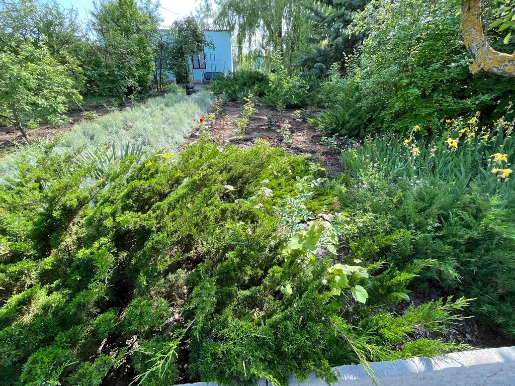 Уютный просторный дом для дружной компании рядом с морем