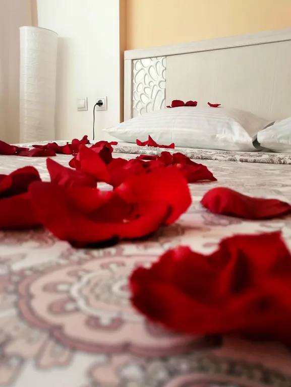 Квартира в новостройке рядом с парком